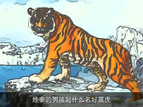 姓秦的男孩起什么名好属虎