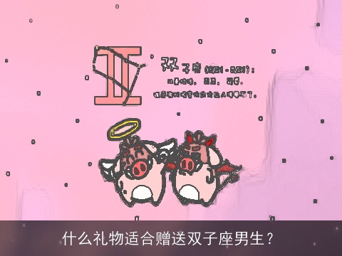 什么礼物适合赠送双子座男生？