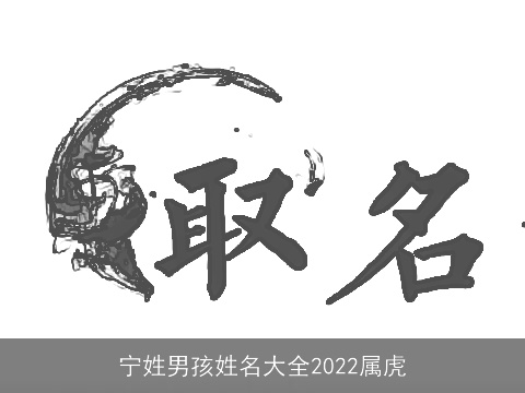 宁姓男孩姓名大全2022属虎