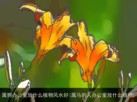 属狗办公室放什么植物风水好(属马的人办公室放什么植物)