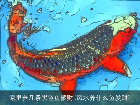 家里养几条黑色鱼聚财(风水养什么鱼发财)