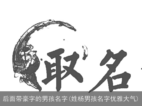 后面带豪字的男孩名字(姓杨男孩名字优雅大气)