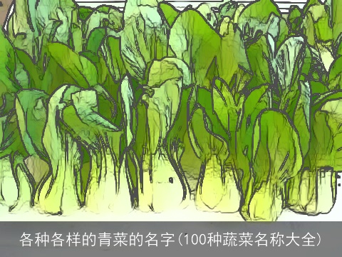 各种各样的青菜的名字(100种蔬菜名称大全)