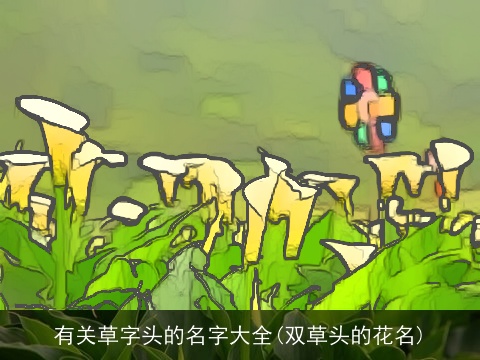 有关草字头的名字大全(双草头的花名)