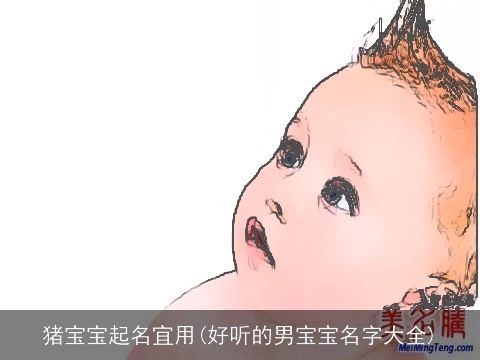 猪宝宝起名宜用(好听的男宝宝名字大全)
