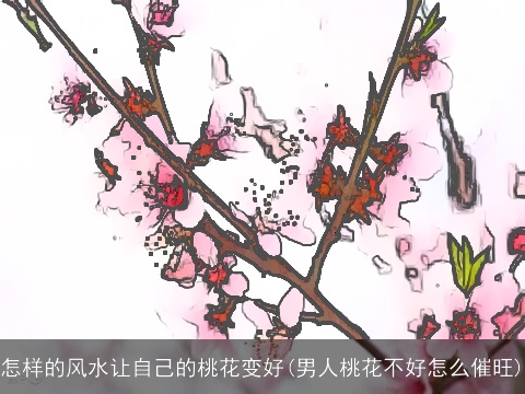 怎样的风水让自己的桃花变好(男人桃花不好怎么催旺)