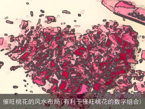 催旺桃花的风水布局(有利于催旺桃花的数字组合)