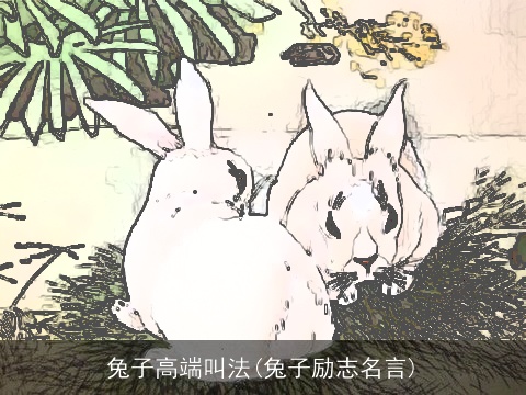兔子高端叫法(兔子励志名言)