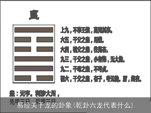 易经关于龙的卦象(乾卦六龙代表什么)