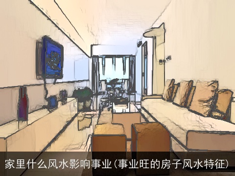 家里什么风水影响事业(事业旺的房子风水特征)