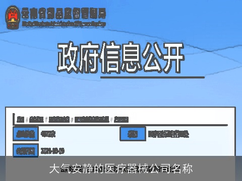 大气安静的医疗器械公司名称