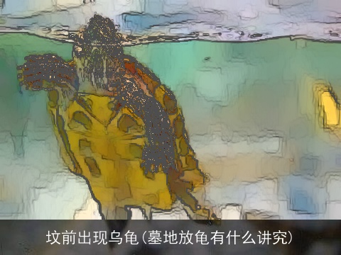 坟前出现乌龟(墓地放龟有什么讲究)