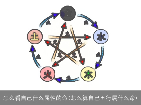 怎么看自己什么属性的命(怎么算自己五行属什么命)