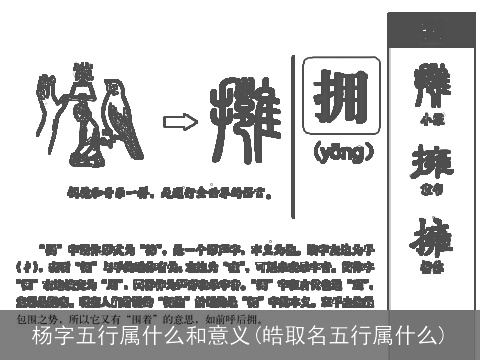 杨字五行属什么和意义(皓取名五行属什么)