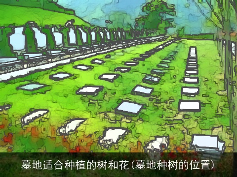 墓地适合种植的树和花(墓地种树的位置)
