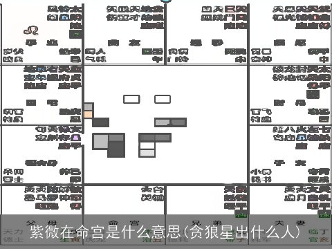 紫微在命宫是什么意思(贪狼星出什么人)