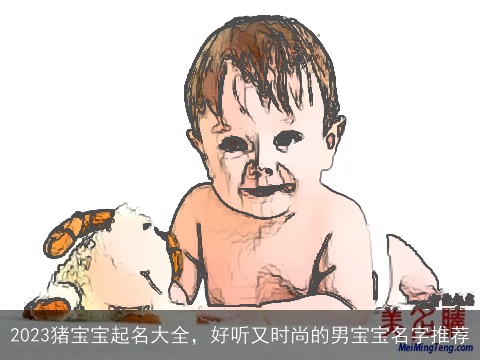 2023猪宝宝起名大全，好听又时尚的男宝宝名字推荐