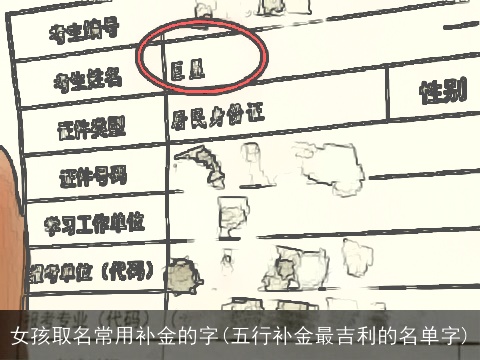 女孩取名常用补金的字(五行补金最吉利的名单字)