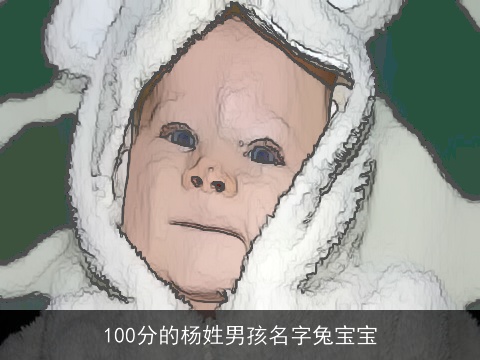 100分的杨姓男孩名字兔宝宝