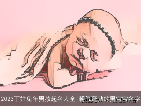 2023丁姓兔年男孩起名大全 朝气蓬勃的男宝宝名字