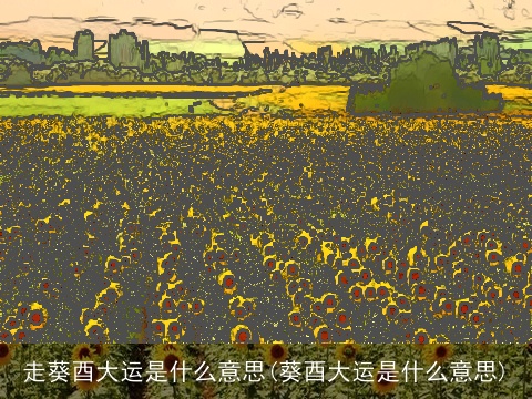 走葵酉大运是什么意思(葵酉大运是什么意思)