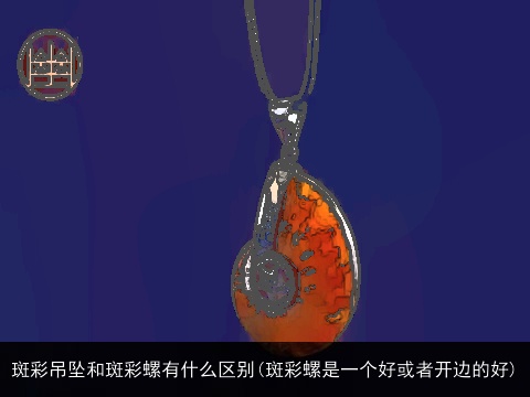斑彩吊坠和斑彩螺有什么区别(斑彩螺是一个好或者开边的好)
