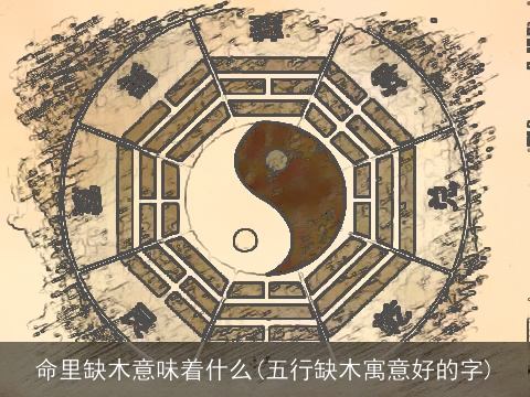 命里缺木意味着什么(五行缺木寓意好的字)