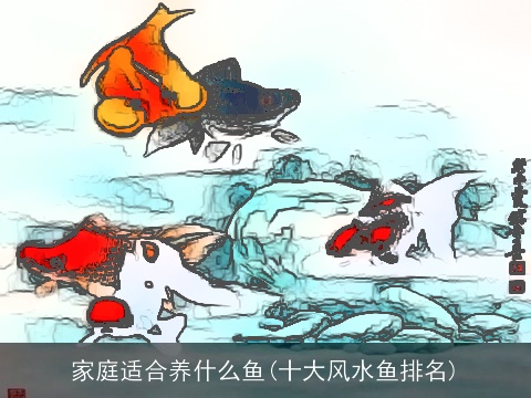 家庭适合养什么鱼(十大风水鱼排名)