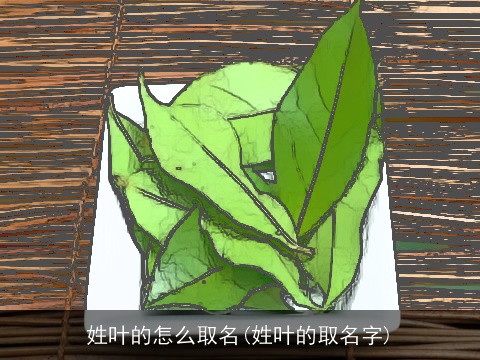 姓叶的怎么取名(姓叶的取名字)