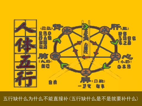 五行缺什么为什么不能直接补(五行缺什么是不是就要补什么)
