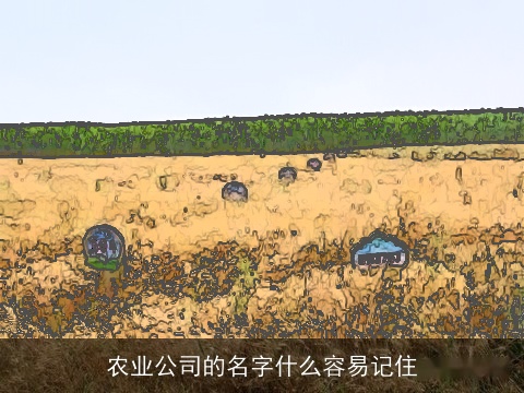 农业公司的名字什么容易记住