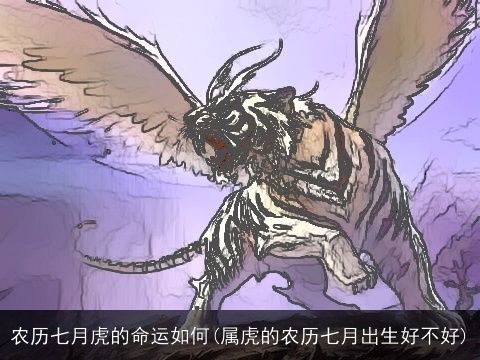 农历七月虎的命运如何(属虎的农历七月出生好不好)