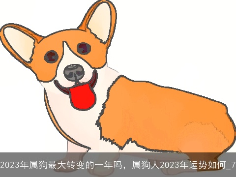 2023年属狗最大转变的一年吗，属狗人2023年运势如何_7