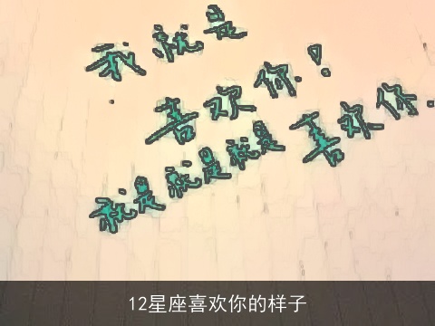 12星座喜欢你的样子