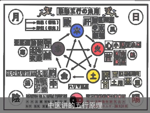 中医讲的五行原理