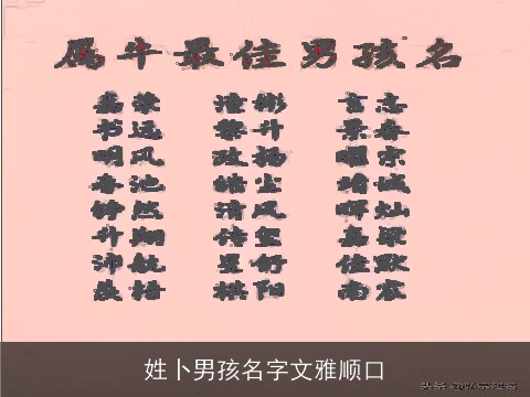 姓卜男孩名字文雅顺口