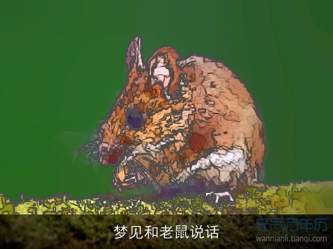 梦见和老鼠说话