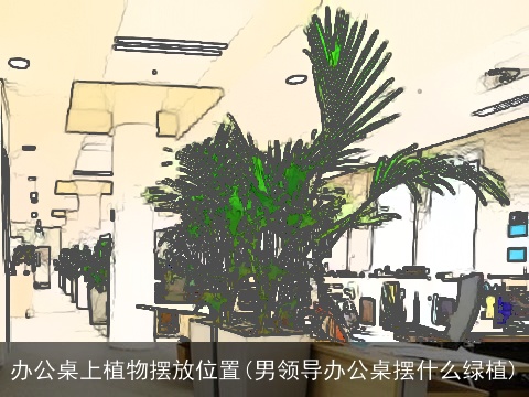 办公桌上植物摆放位置(男领导办公桌摆什么绿植)