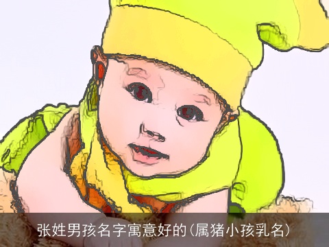 张姓男孩名字寓意好的(属猪小孩乳名)