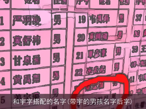 和宇字搭配的名字(带宇的男孩名字后字)