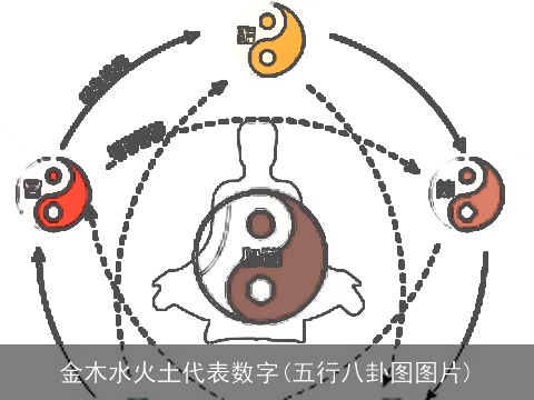 金木水火土代表数字(五行八卦图图片)