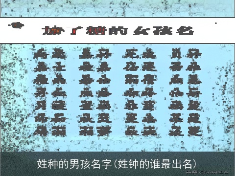 姓种的男孩名字(姓钟的谁最出名)