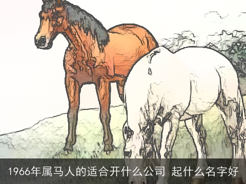 1966年属马人的适合开什么公司 起什么名字好