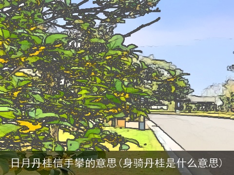 日月丹桂信手攀的意思(身骑丹桂是什么意思)