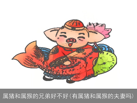 属猪和属猴的兄弟好不好(有属猪和属猴的夫妻吗)