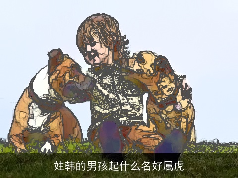 姓韩的男孩起什么名好属虎