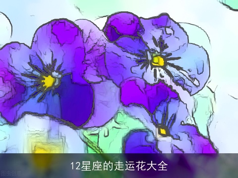 12星座的走运花大全