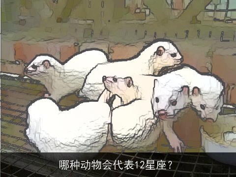 哪种动物会代表12星座？