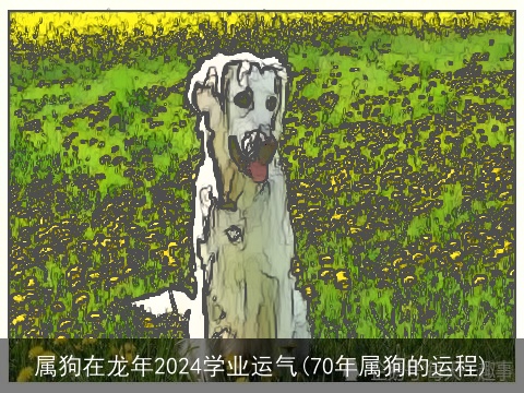 属狗在龙年2024学业运气(70年属狗的运程)