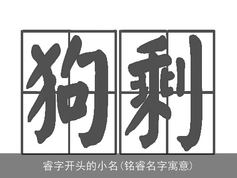 睿字开头的小名(铭睿名字寓意)